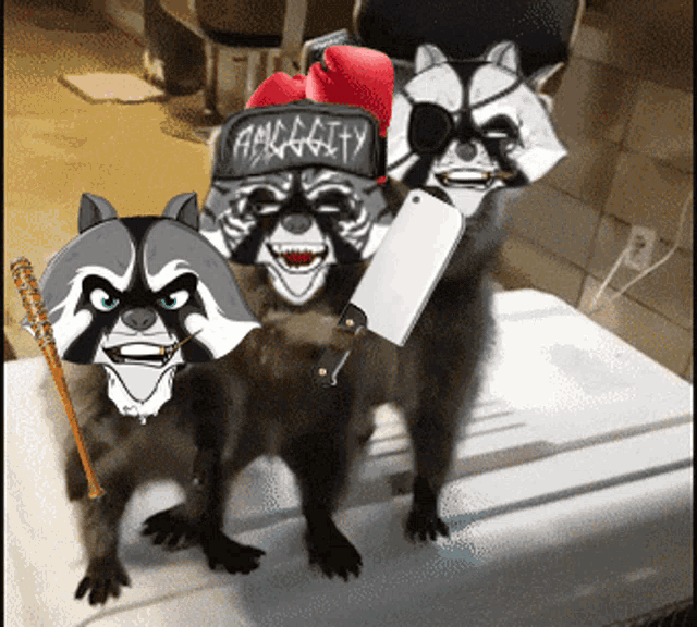 a raccoon wearing a hat that says faggoty on it