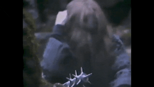 a person is holding a starfish in their hands in a dark room .