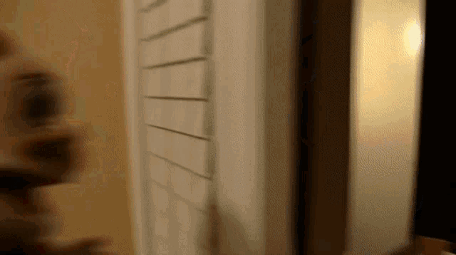 a blurry picture of a person standing in front of a closet door .