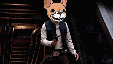 a man with a dog 's face on his face holding a gun