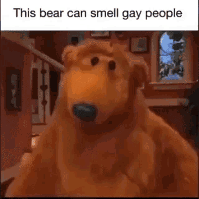 a stuffed bear is standing in a living room next to a staircase and says `` this bear can smell gay people '' .