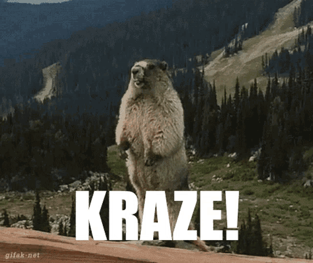 a groundhog standing on its hind legs with the word kraze on the bottom
