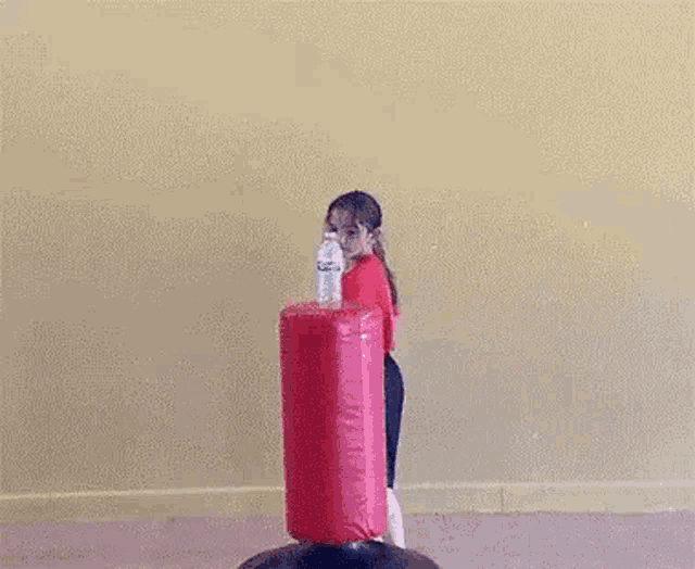 a young girl is kicking a punching bag in a room .