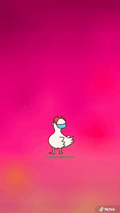 Duck Dance GIF - Duck Dance Excited GIFs