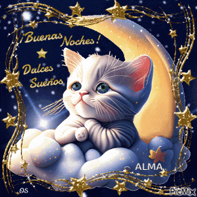 a cat sitting on a cloud with the words buenas noches dulces suenos