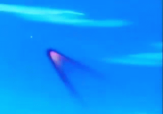 Al GIF - Blue Comet Spt Layzner Robot Missle GIFs