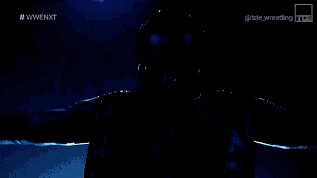a blue background with the words #wwenxt on the top