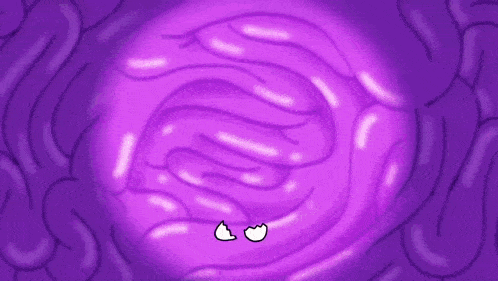 a cartoon of a baby in a purple stomach with the name charlton howard above it