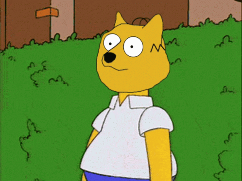 Homer Dogecoin GIF - Homer Dogecoin Doge GIFs