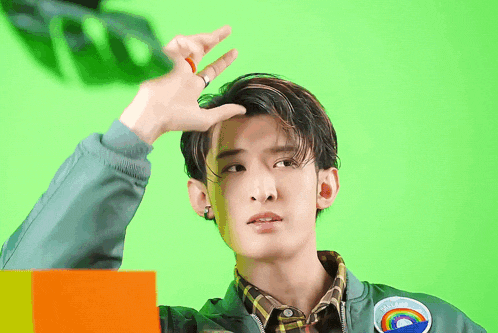 a young man wearing a green jacket has a rainbow patch on his chest
