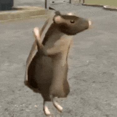 a mouse is standing on its hind legs and holding a bag .