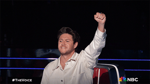 That Was Great Niall Horan GIF - That Was Great Niall Horan The Voice GIFs