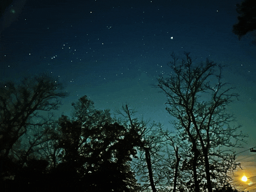 a night sky with trees in the foreground and a full moon in the background