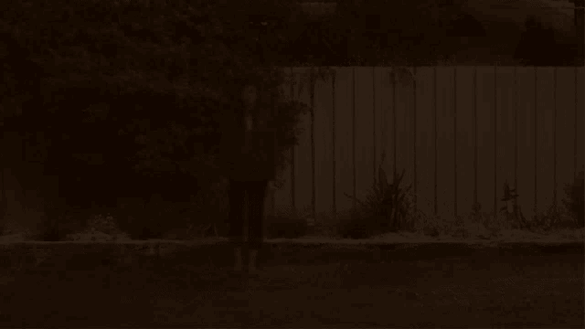 a person standing in front of a fence with a tree in the foreground