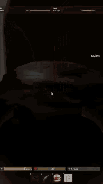 a screenshot of a video game with the name raylen on it