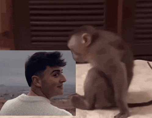 a picture of a man and a picture of a monkey sitting on a bed