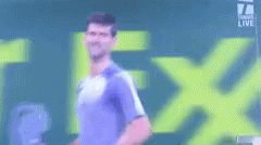 Novak Djokovic GIF - Novak Djokovic Tennis GIFs