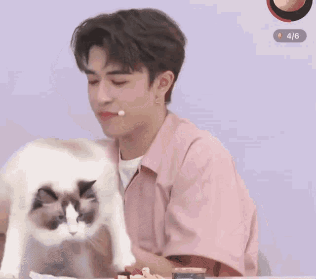 a man in a pink shirt is petting a white cat