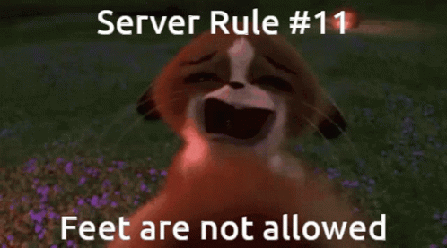 Server Rule Rule11 GIF - Server Rule Rule11 Mort GIFs