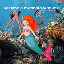 Mermaid Swimming GIF - Mermaid Swimming Fish GIFs