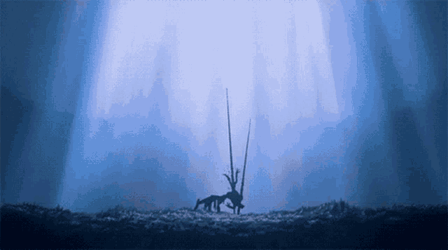 a silhouette of a person standing in a field with a blue sky in the background