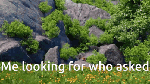 a video game scene with the words " me looking for who asked " at the bottom