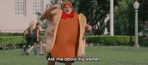 a man in a hot dog costume is standing in a park .
