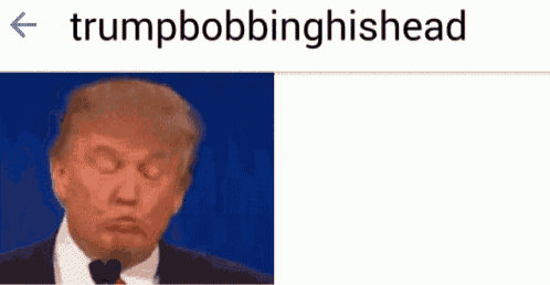 a picture of donald trump with the name trumpbobbinghishead above him