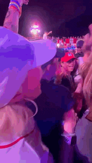 a group of people are standing in a crowd at a music festival .
