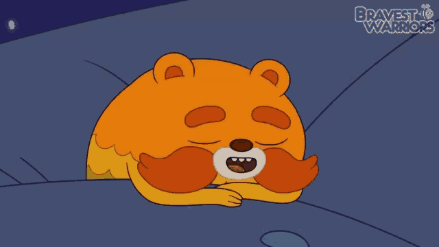 a cartoon of a raccoon with the words bravest warriors written on the bottom