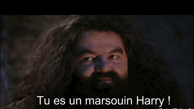 a man with long hair and a beard says tu es un marsoun harry