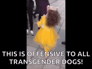 a little girl in a yellow dress is walking down a sidewalk while people walk behind her .