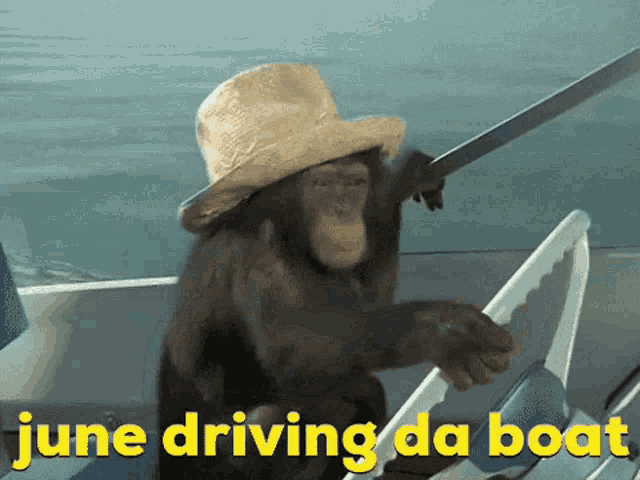 a chimpanzee in a straw hat is driving a boat