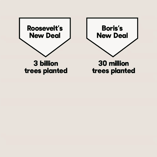 a graphic showing trees planted by roosevelt and boris