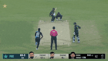 a screen shot of a cricket match between pakistan and nz