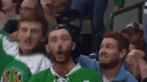 Dallas Fans GIF
