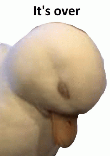 Duck Its Over GIF - Duck Its Over GIFs