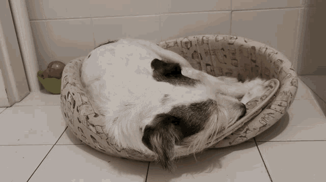 a dog is sleeping in a dog bed with a pattern of animals