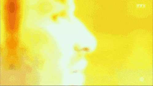 a close up of a person 's face with tf1 written on the bottom right