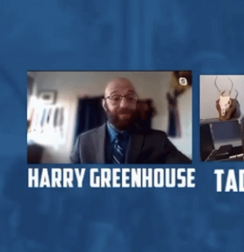 Harry Greenhouse Harry GIF - Harry Greenhouse Harry Quidditch GIFs
