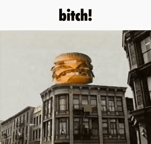 Hamburger Bitch GIF - Hamburger Bitch Crashing GIFs