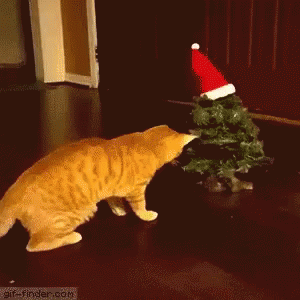Christmas Tree Cat GIF - Christmas Tree Cat Scared GIFs