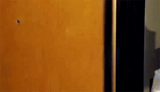 a door with a keyhole in it is open to a dark room