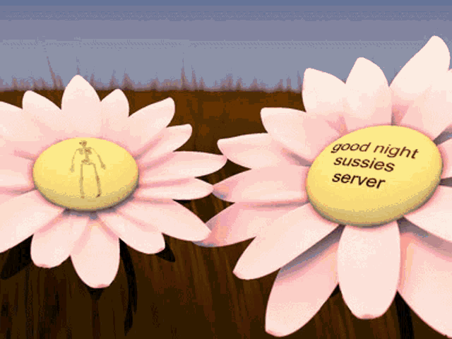 a flower with a yellow center says good night sussies server