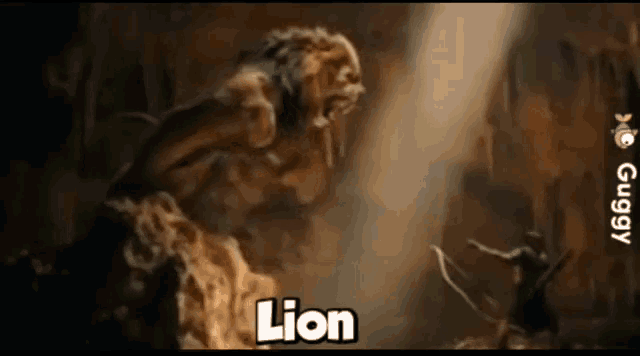 Lion Jump GIF - Lion Jump Attack GIFs