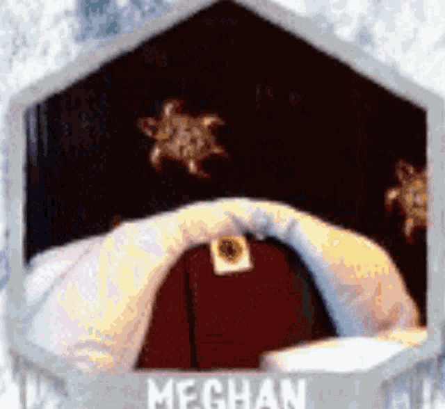 a picture of a person with the name meghan on the bottom right