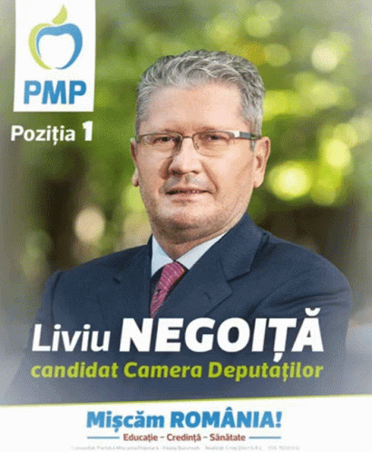 Liviu Negoita Partidul Miscarea Populara GIF - Liviu Negoita Partidul Miscarea Populara Miscam Romania GIFs