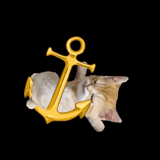 a kitten is laying on its back with an anchor in its mouth .