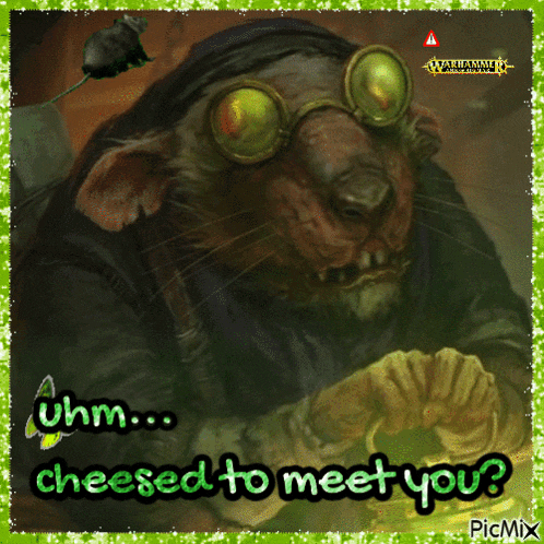 a picture of a rat with goggles and the words " cheesed to meet you " on it