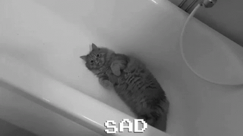 Sad Cat GIF - Sad Cat Crying In The Shower GIFs